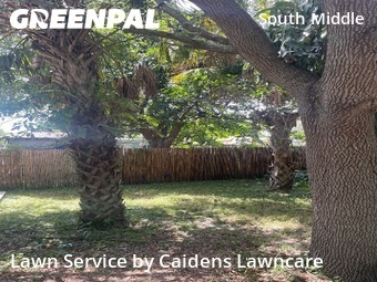 Lawn Mowing Servicein Fort Lauderdale,33311,Yard Cutting by Caidens Lawncare , work completed in Nov , 2025
