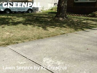 Grass Cutting nearby Lee's Summit, MO, 