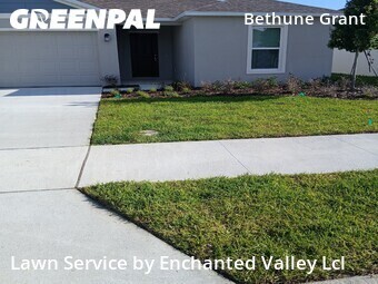 Grass Cut nearby Daytona Beach, FL, 
