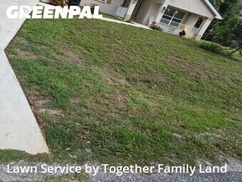 Lawn Mow nearby Venice, FL, 