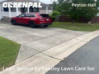 Grass Cut nearby Raleigh, NC, 