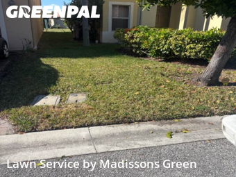 Lawn Care in Riviera Beach, 33407, Landscaping Maintenance by Madissons Green, work completed in Dec , 2025