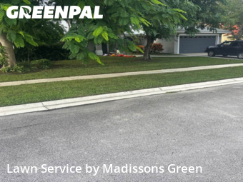 Weed Trimming in Royal Palm Beach, 33411, Lawn Mowing by Madissons Green, work completed in Nov , 2025