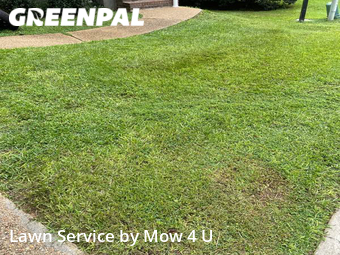 Yard Cutting nearby Tallahassee, FL, 