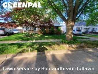 Lawn Mow nearby Wayne, MI, 