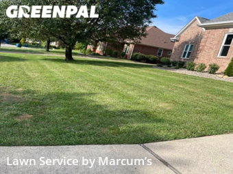 Grass Cut nearby Louisville, KY, 