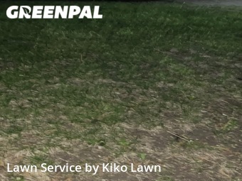 Grass Cutting nearby Minneapolis, MN, 