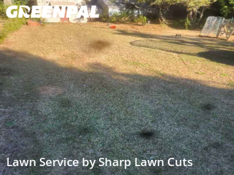 Lawn Mowing Service nearby Thomaston, GA, 
