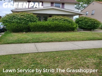 Lawn Care Service nearby Cleveland, OH, 