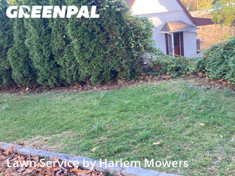 Landscaper In Yonkers,10710,Landscape Design by Harlem Mowers, work completed in Oct , 2025