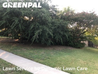 Lawn Mow nearby Plano, TX, 