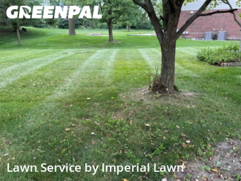 Yard Cutting nearby Canton, MI, 