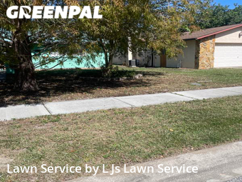 Yard Mowing nearby St. Petersburg, FL, 