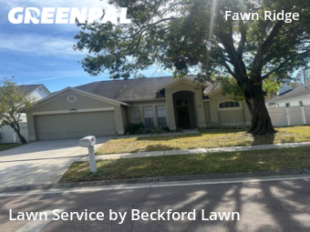 Lawn Cut nearby Tampa, FL, 