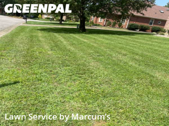 Lawn Care nearby Louisville, KY, 