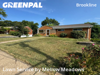 Yard Cutting nearby Pittsburgh, PA, 