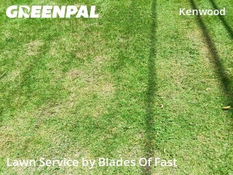 Lawn Care Service nearby Smyrna, GA, 