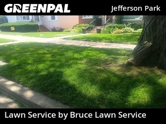Lawn Service nearby Chicago, IL, 