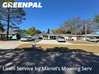 Yard Cutting nearby Clearwater, FL, 
