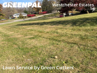 Yard Cutting nearby Indianapolis, IN, 