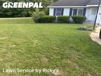 Lawn Mowing Service nearby Dorr, MI, 
