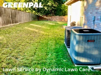 Yard Cutting nearby Plano, TX, 