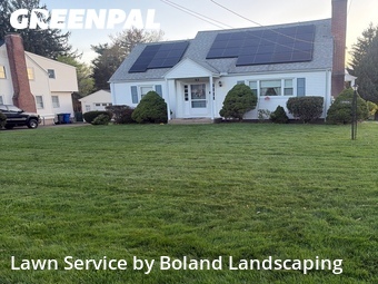 Lawn mowed in Newington, 6111