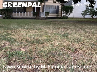 Lawn Mow nearby Norfolk, VA, 