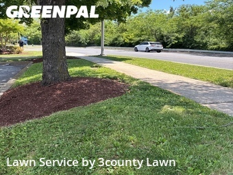 Lawn mowed in Hagerstown, 21740
