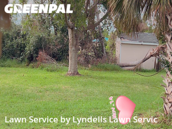 Lawn Cut nearby Punta Gorda, FL, 