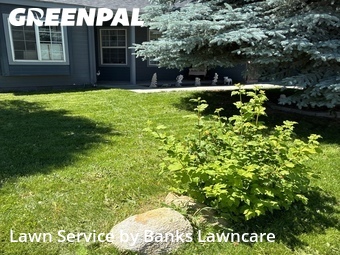 Lawn mowed in Nampa, 83686