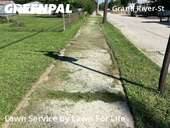 Lawn Cut nearby Detroit, MI, 