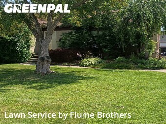 Yard Cutting nearby Roseville, MI, 