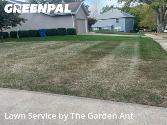 Lawn Mowin Ballwin,63011,Lawn Mowing Service by The Garden Ant , work completed in Nov , 2025