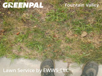 Yard Mowing nearby Fountain, CO, 