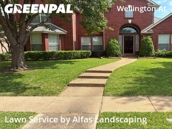 Lawn Mowing Servicein Plano,75024,Lawn Mow by Alfas Landscaping, work completed in Jun , 2026