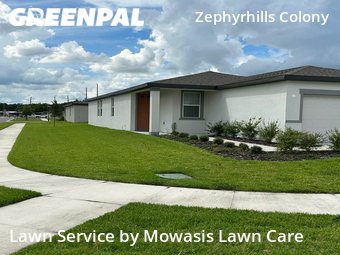 Lawn Cutting nearby Wesley Chapel, FL, 