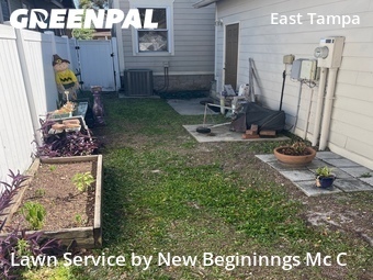 Lawn Cut nearby Tampa, FL, 