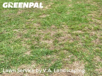 Lawn Mowing Service nearby Houston, TX, 