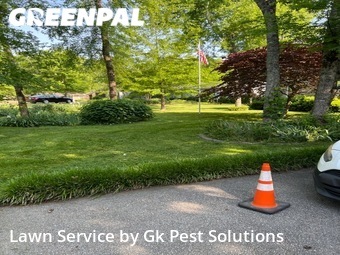 Lawn Mow nearby Murfreesboro, TN, 