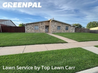Grass Cut nearby Grand Prairie, TX, 