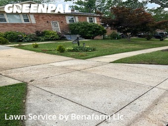 Lawn Service nearby District Heights, MD, 