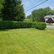 local-lawn-cutting-services-in-Elyria-OH