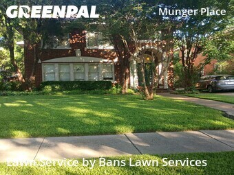 Lawn Mow nearby Dallas, TX, 