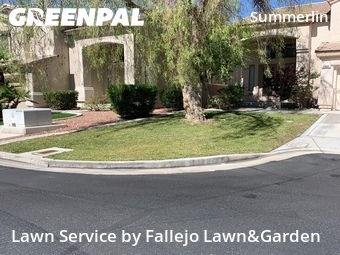 Landscaping Companies In Las Vegas,89135,Landscaping by Fallejo Lawn&Garden, work completed in Jun , 2026