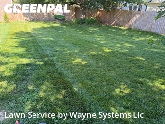 Grass Cut nearby Columbia, MO, 
