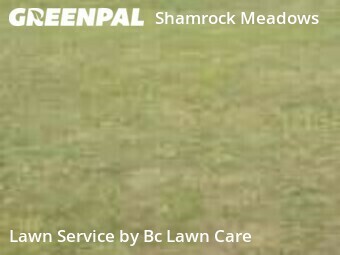 Lawn Mowing nearby Raleigh, NC, 