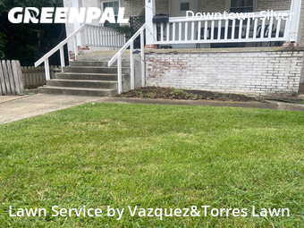 Yard Cutting nearby Silver Spring, MD, 