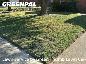 Grass Cut nearby Dallas, TX, 