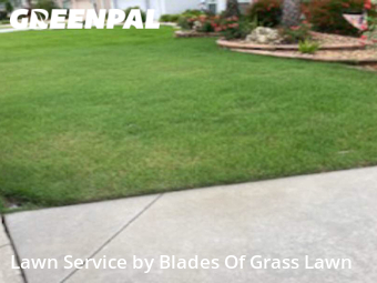 Lawn Care Service nearby Leesburg, FL, 